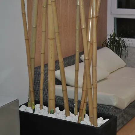 Premium Yumbo Wifi A/c Appartement