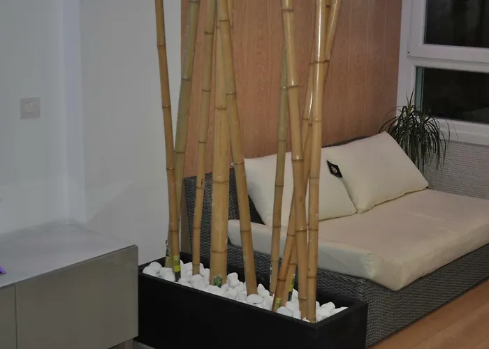 Premium Yumbo Wifi A/c Apartment